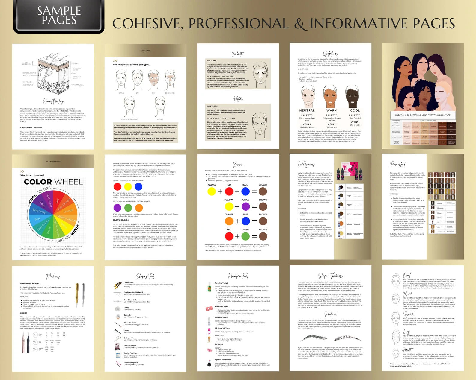 PMU Brows Training Manual - Image 3